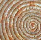 

   05686 Seafibre™ placemat   

