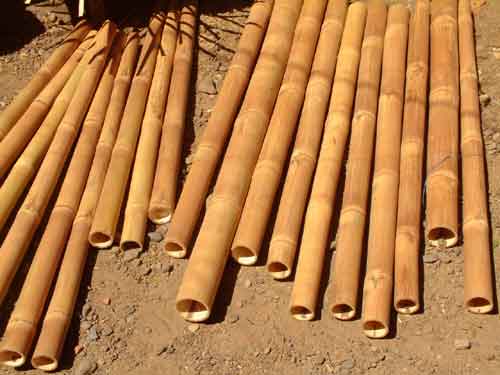 
   This basket begins with bamboo   

   Muñoz, Philippines   
