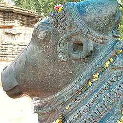 

   Nandi the bull at the
   Thousand pillars temple   
   in Warangal   
.
